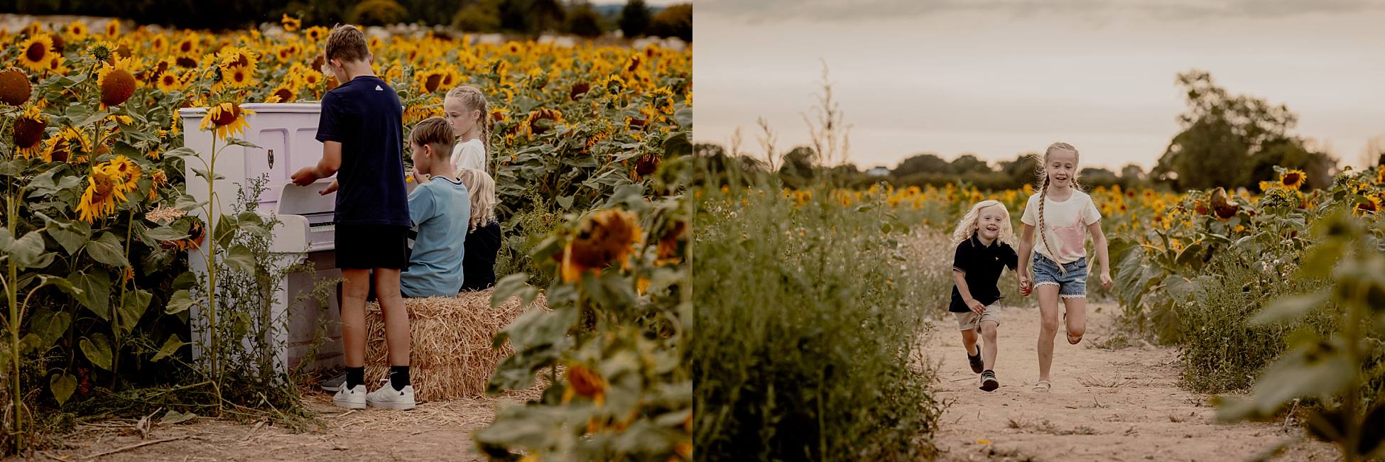 Group of siblings playing piano placed in sunflower field at Sam’s Sunflowers