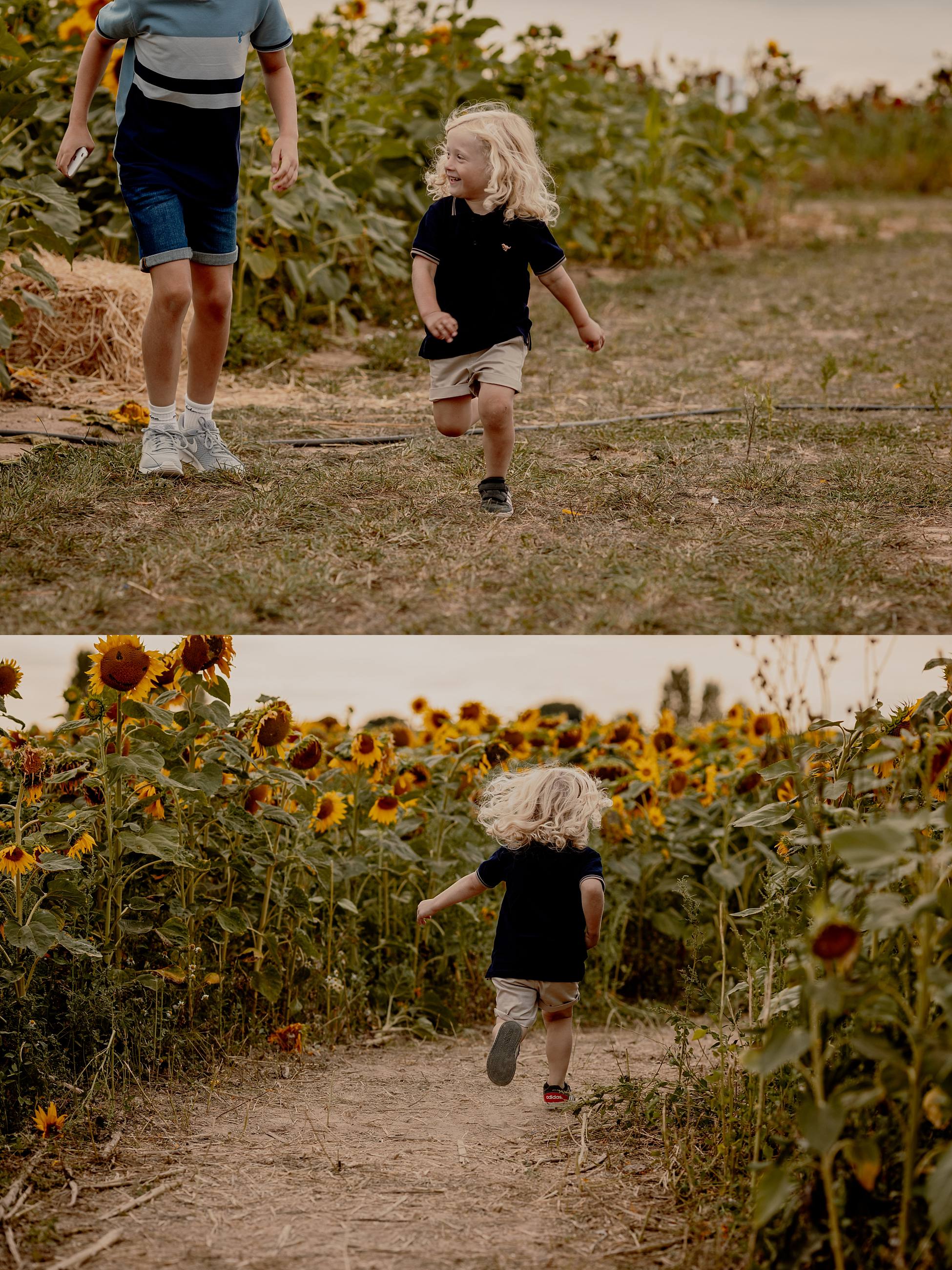 Brothers playing and laughing together during candid family photography in Hampshire sunflower field